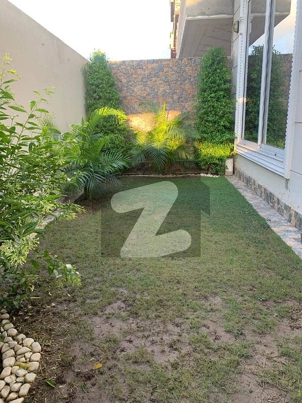 20 
