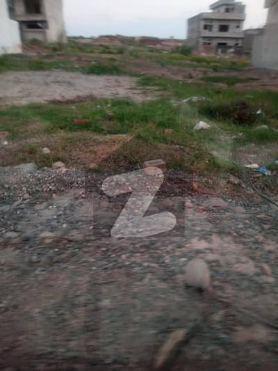 جناح