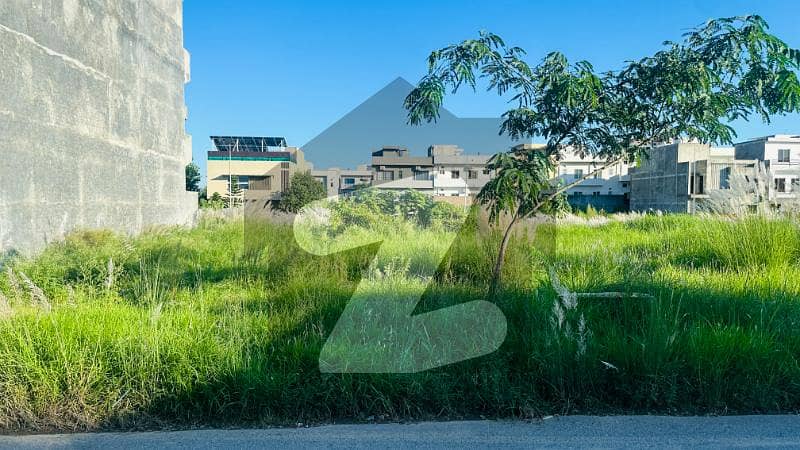 600 SQYD BACK OPEN PLOT
