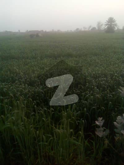 9 Kanal Agricultural Plot