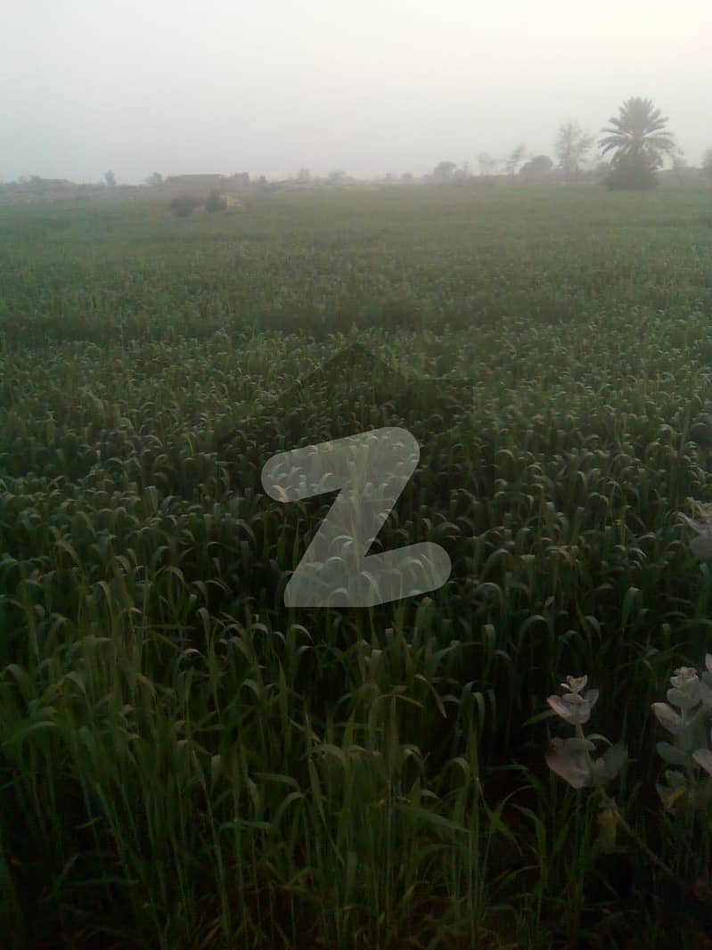 9 Kanal Agricultural Plot 9 Kanal Agricultural Plot