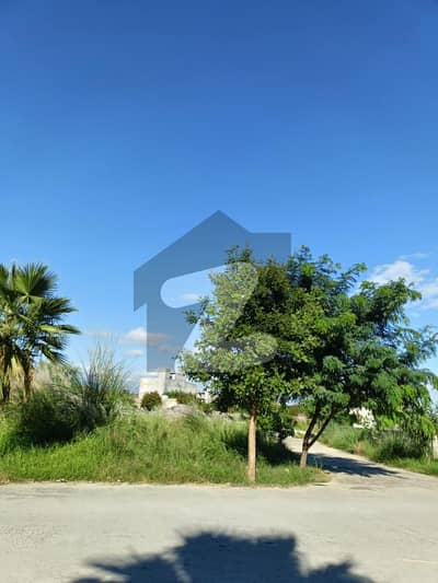 زمر