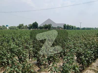 8 Acre Land For Sale, Near Jaffar Enclave Ryk