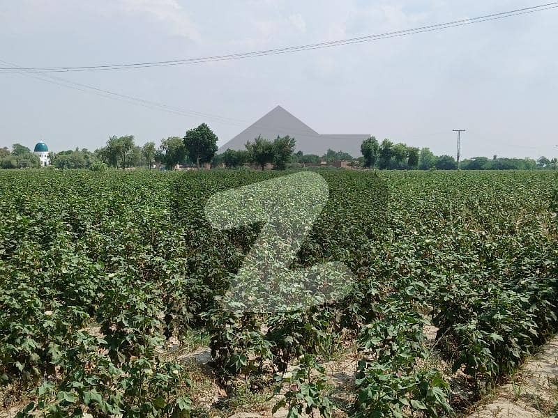 8 Acre Land For Sale, Near Jaffar Enclave Ryk