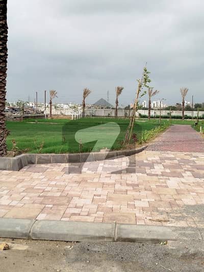 Plot Available For Sale Ghandhara Employee Co Operative Housing Society Sectar 21a  240 Sqyd   40 Feet Road