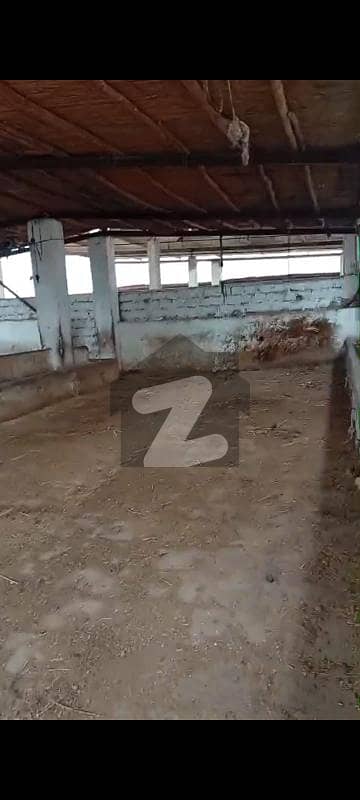 200 Yards on running cattle farm. Availble For Sale Sector 9 Surjani Town kda scheme 41.
