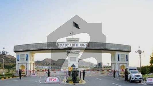 فیصل