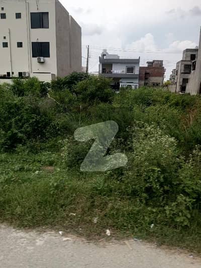 ایل