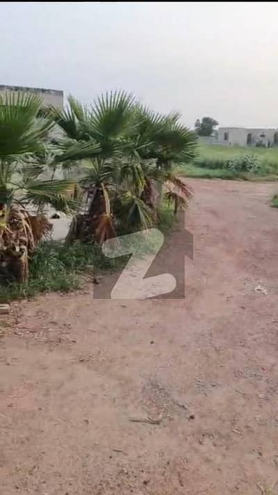 جاتی