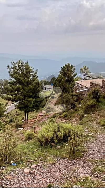 15 Marla Prime Plot For Sale In Murree Improvement Trust Ideal For High-Rise Commercial Apartments! 15 Marla Prime Plot For Sale In Murree Improvement Trust Ideal For High-Rise Commercial Apartments!