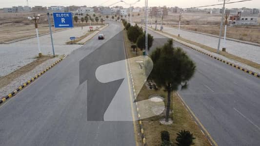 نیو