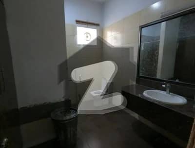 نارتھ