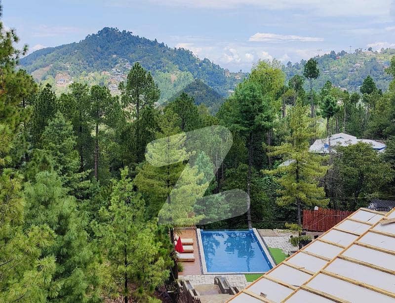 Luxury Radisson Blu Hotel Suites in Murree