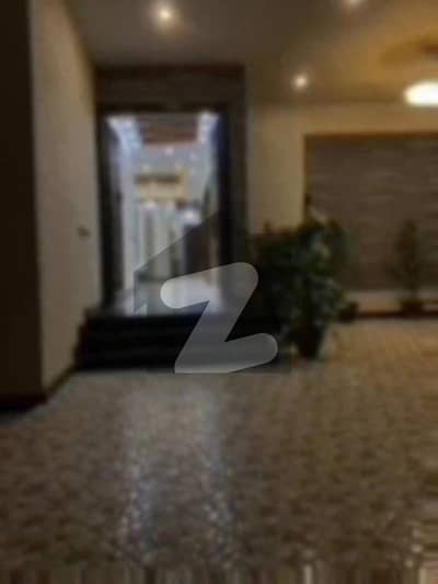 250