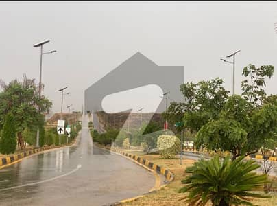 ڈی