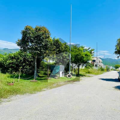 ڈی