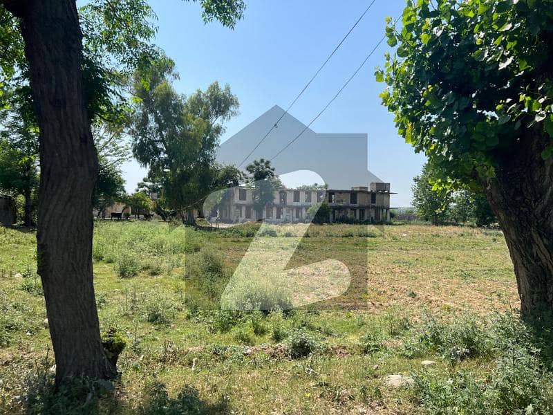 سہالا اسلام آباد میں 80 کنال زرعی زمین 28.5 کروڑ میں برائے فروخت۔