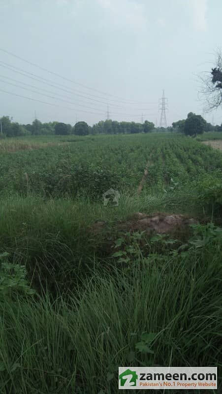 7 acre agricultural land Main tatypur Road Front