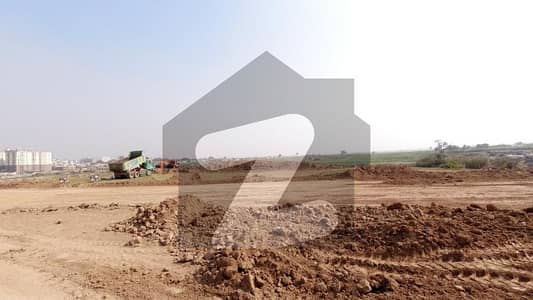 شالیمار