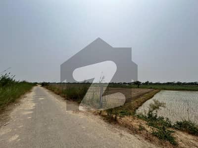 بیدیاں