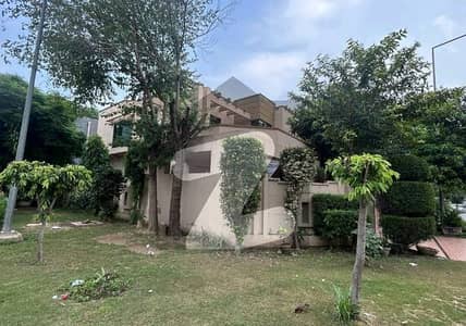 ڈی