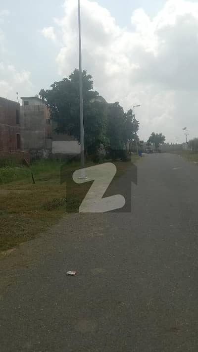 سٹی