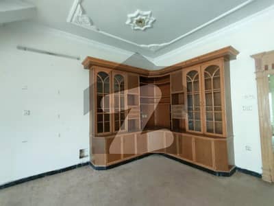 حیات