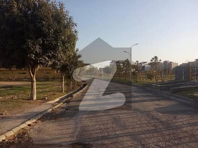 Plot Is Solid Land For Sale
