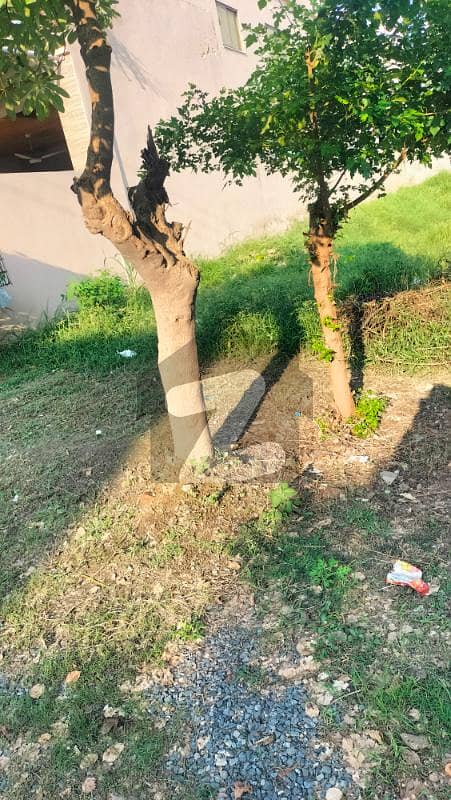 1 kanal plot for sale