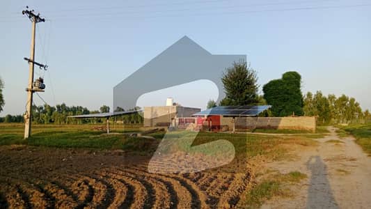 Farm House For Sale