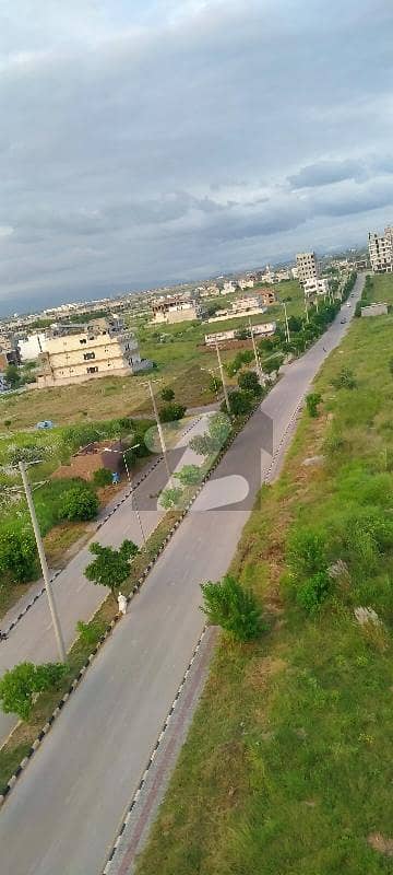 یونیورسٹی
