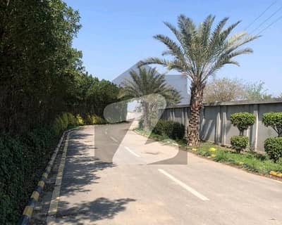 برکی