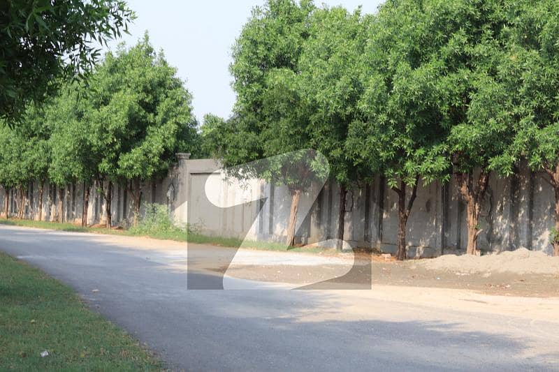Ideal Residential Plot For Sale On Barki Road Ideal Residential Plot For Sale On Barki Road