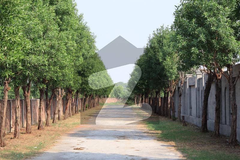 Ideal Residential Plot For Sale On Barki Road Ideal Residential Plot For Sale On Barki Road