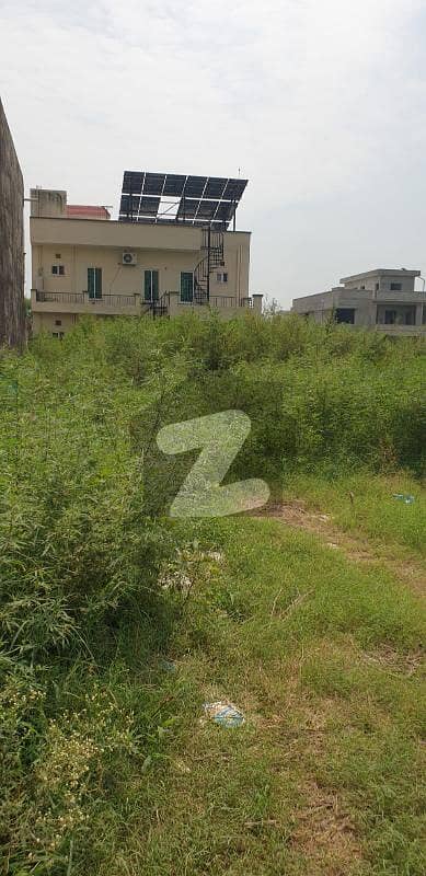Prime Location Corner Plot (40x80)
