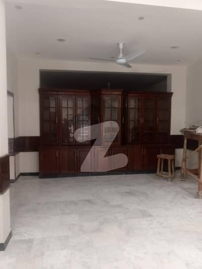 Brand new full house for rent in E11