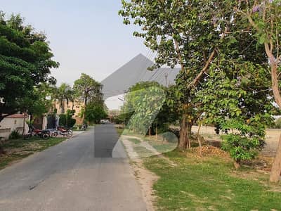ڈی