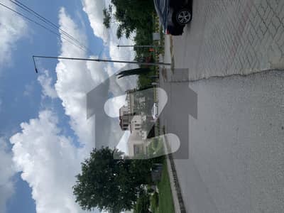 نیول