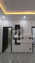 20 