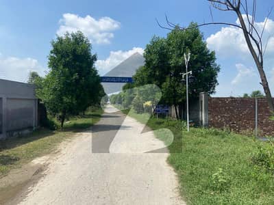 8 kanal top location farm house land for sale on reasonable price located at JAPAN road in PRINCETON farm house society 8 kanal top location farm house land for sale on reasonable price located at JAPAN road in PRINCETON farm house society