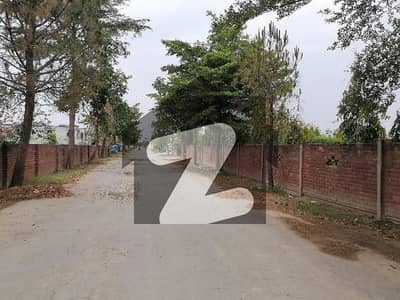 برکی