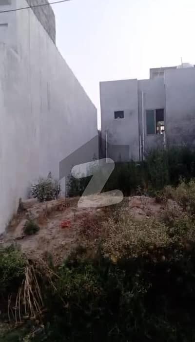 کوہسار