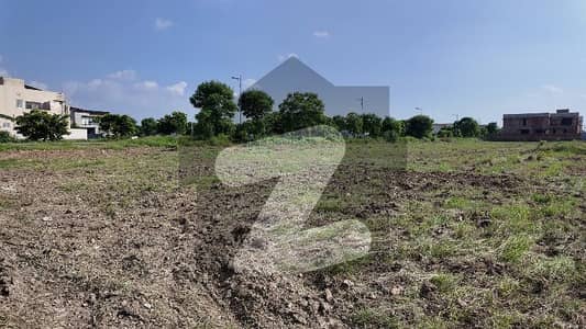 DHA