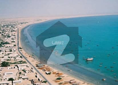 موضع