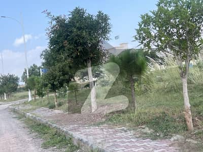 گلبرگ
