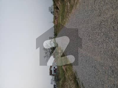 University
