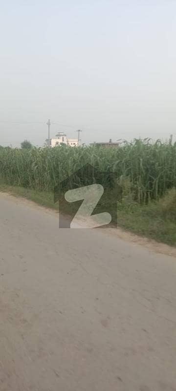 پسرور