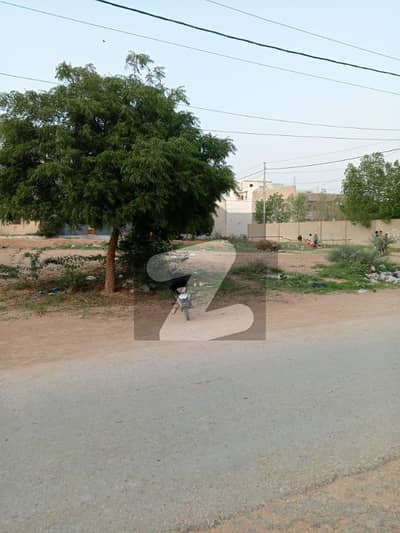 Hot deal sector T west open 240 sqyrd plot for sale.