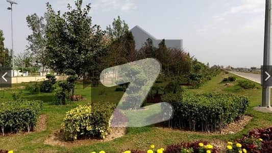 ایل
