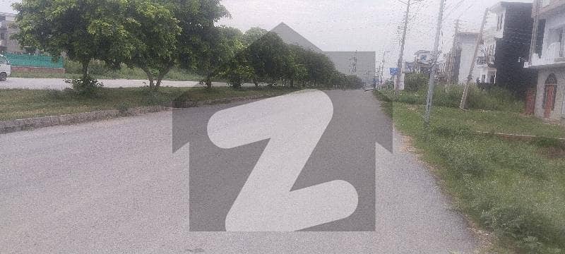 DOUBLE RD BACK IDEAL OPTION DOUBLE RD BACK IDEAL OPTION